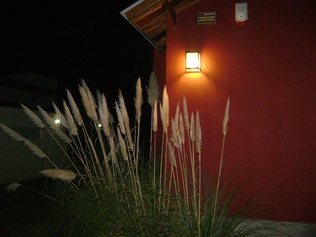 La Gringa, Un Espacio Unico En El Medio Del Bosque Villa Mar de Las Pampas Exterior photo